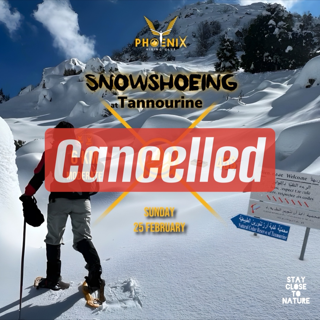 Snowshoeing at Tannourine Forest