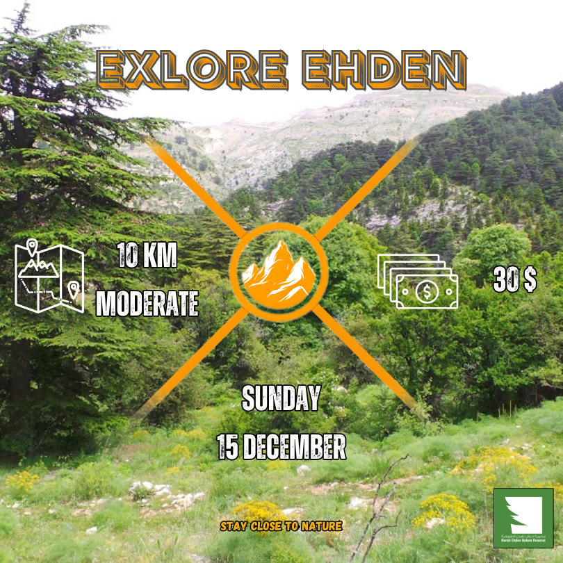 Explore Ehden Hike