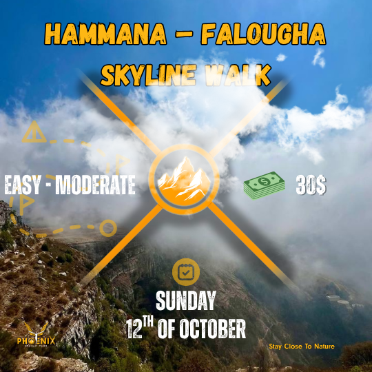 Hammana–Falougha Skyline Walk